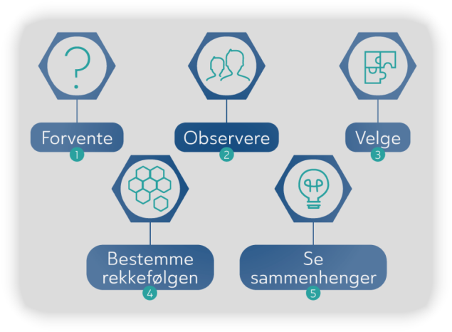 Fem praksiser illustrasjon
